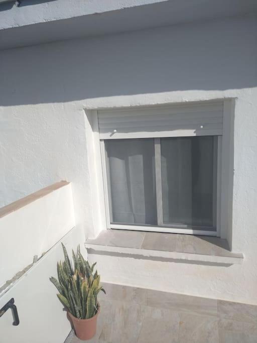 Apartmán Atico/Estudio Cerca Del Centro De Jerez Jerez de la Frontera Exteriér fotografie
